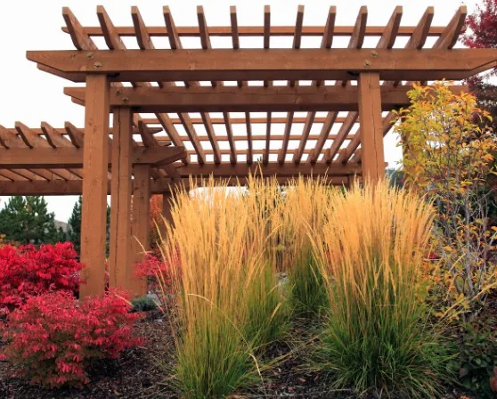 Pérgola de madera tono miel sobre jardín con hierbas ornamentales doradas y arbustos rojos en Burgos